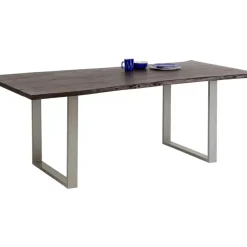 Tisch Harmony Dunkel Silber 200X100