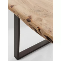 Tisch Harmony Silber 200X100