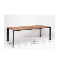 Tisch Phoenix 220X100Cm