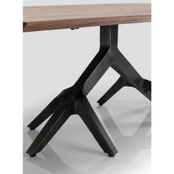 Tisch Roots Dark 220X100Cm