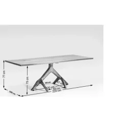 Tisch Roots Dark 220X100Cm