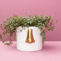 Ubertopf Nase Weiss/Gold