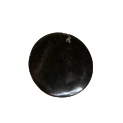 Untersetzer Versteinertes Holz