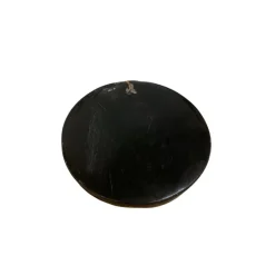 Untersetzer Versteinertes Holz