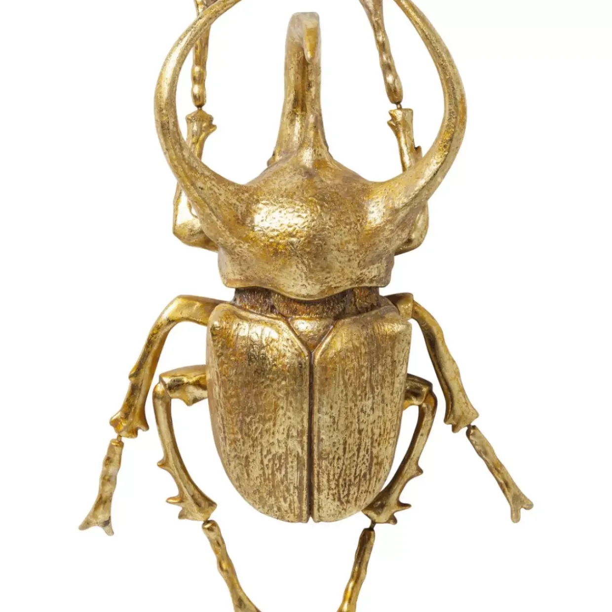 Wandschmuck Atlas Beetle Gold