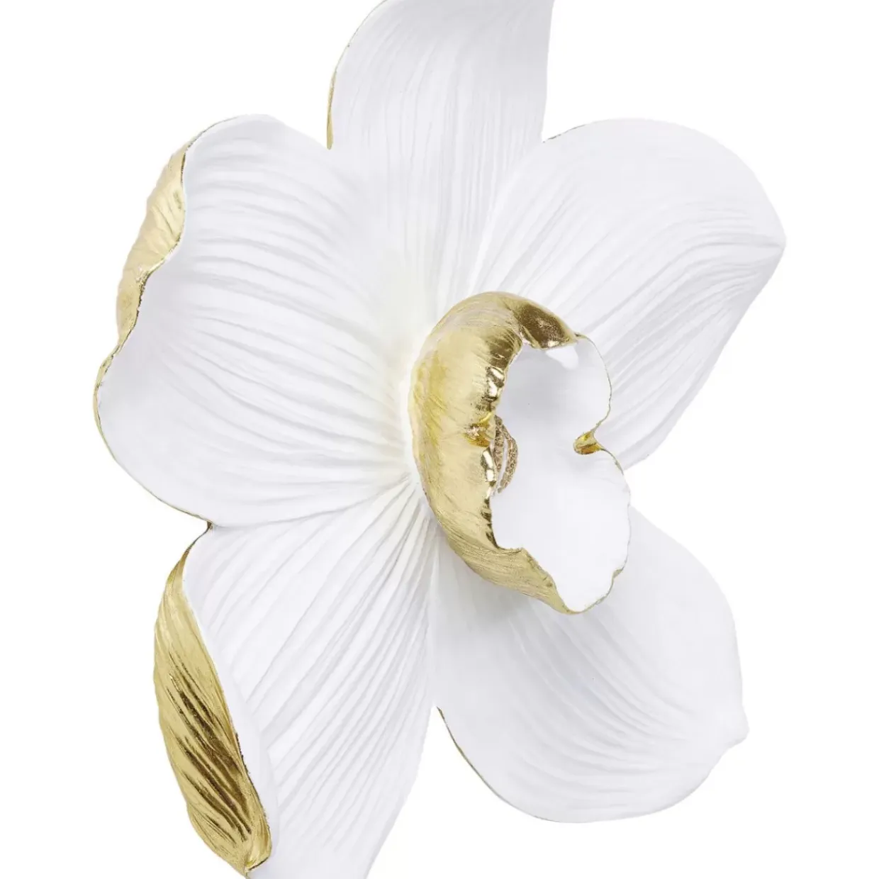 Wandschmuck Orchid Weis 54Cm